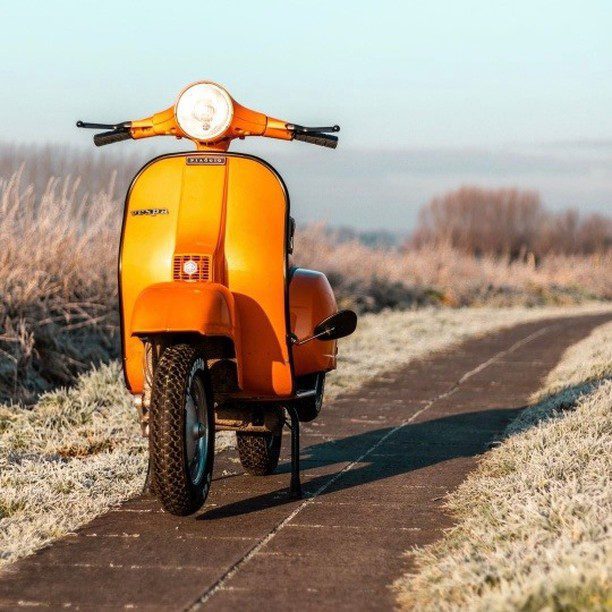 Orange Vespa PX banci classic

hashtag and mention @vespapxnet for feature repost
Check website www.vespapx.net for more 

@px.charles