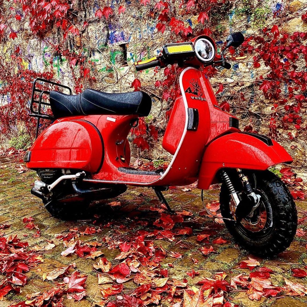 Red Vespa PX custom modified

hashtag and mention @vespapxnet for feature repost Check website www.vespapx.net for more 

feature @tizio.71